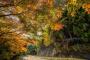 奥多摩の紅葉撮ってきた！ツーリングに行きたくなる画像・写真が集まるスレ