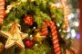 【裏山死刑】ワイ慶應大学生のクリスマス前後の予定がこちらですｗｗｗｗｗｗ
