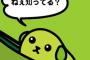 加隅亜依って声優知っとる？