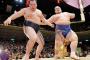 琴　　奨　　菊　　1　　0　　連　　勝