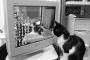 猫「おまえ誰？」  壁紙「昔のおまえや」