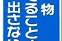 【||Φ|(|ﾟ|∀|ﾟ|)|Φ||】「ちゃんと見張ります。ご安心下さい」