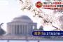 【米国】ワシントン「桜祭り」ごと爆買い？水面下で触手伸ばす中韓。「アジア祭り」への改称を条件に資金協力検討…結末は