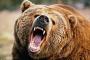 長野でスノボ中の女性追いかけるクマの姿が…　（※動画あり）