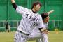 阪神田面のエピソードが泣けるンゴねえ