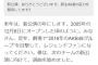 【AKB48/SKE48】秋元康「2016年は新公演の年にします」【NMB48/HKT48/NGT48】