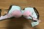 【画像】GカップとAカップのブラジャーを並べた結果ｗｗｗｗｗｗｗｗｗｗｗｗｗｗ