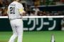 SB和田毅、ハトに負ける　「何で（鳩が）来るんだよ。集中力が…」