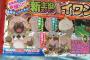 【悲報】ピカチュウ、とうとう主役ポケモンから降ろされる・・・