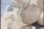 男でも尻揉まれれば反応するよな？