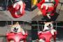 【画像】ブランコを楽しむ柴犬の顔が幸せそうで和むなｗ