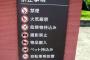 彡(ﾟ)(ﾟ)「公園行ってやきうするで！」