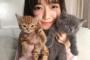 【朗報ぱるる】最新のAKB48島崎遥香さん、猫を飼い始める？