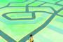 【悲報】甥にポケモン探してきてと頼まれたワイ、ポケモンを全く発見できず絶望する・・・