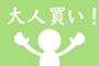 1日で4万使った公務員だけど内訳みてくれｗ