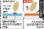 フジツボが戸惑う塗料、船底への付着防ぐ　日ペが開発