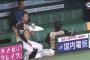 【悲報】日ハムベンチで暴力事件