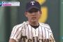 【動画】杉谷拳士、Mステにて甲子園の1球の悲劇を晒される…