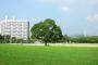サンフレッチェ広島新スタ中央公園有力ｗｗｗｗｗｗｗｗｗｗｗｗｗｗｗ