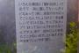 吉岡里帆「色んな雑誌に隠れﾃﾞｶﾊﾟｲって出てて…」