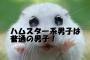 ハムスター系男子「美容院わず～幼くなりました」