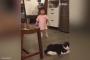 「そんなに甘くは行かないにゃ」→猫、女の子に人生の厳しさを教えるwww