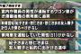 彡(ﾟ)(ﾟ)「車ぶつけられたンゴ…どこのアホやねん…って皇族やんけ！」