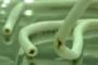 尿道にUSBケーブル差し込んだら気持ち良いって言ったの誰だよ　とんでもないことになったじゃねーか！