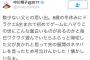 中川翔子さん「ふらっと帰ってきた父がドラクエ5のネタバレをして喧嘩した」