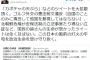 民進党・天ぷら小西「安倍首相のゴルフ外交は憲法前文違反（自国のことのみに専念して他国を無視してはならない）」