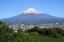 一般的な静岡県のイメージ　富士山　お茶