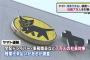 【衝撃】ヤマト運輸、未払い残業代に神対応ｗｗｗｗｗｗｗｗｗｗ