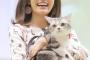 芸能人ってなんで血統書付きの猫ばかり飼ってるの？雑種を飼ってる人は好感度高いよね
