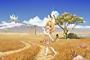 結局けものフレンズ8話で出てきた青い石はなんだったんやｗｗｗｗｗｗ