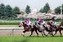 G1桜花賞でとんでもないオッズ！！！　4000万突っ込んだ人登場ｗｗｗｗ