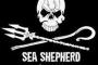 シー・シェパードが韓国支部を設立　「ＳＥＡ　ＳＨＥＰＨＥＲＤ　ＫＯＲＥＡ」