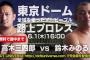 【プロレス/DDT】史上初の東京ドーム路上プロレスに天龍源一郎ら多数参戦！VR映像化も決定！