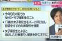 小出恵介の相手「ハンほのり」整形前の写真流出！母親もヤバイと2ch騒然（画像あり）