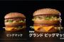 時々無性にビッグマクド食いたくなる