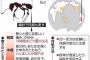 強毒「ヒアリ」国内初確認　環境省「侵入否定できぬ」
