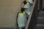 最後のペンギンの圧倒的ボス感