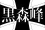 何度本編見てもどうやって黒森峰が9回も連続優勝したんだ…としか思えない