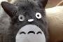 【画像】トトロは猫板じゃなくてUMA板に行ってください！！