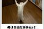 ブラック会社をたった今辞めてきたけど質問ある？