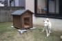 ある日家を出たらその瞬間凄い違和感と視線を感じた→なんと犬小屋にいた犬が愛犬ではなく…