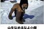 山なんか登ったこと無いのに会社で厳冬期の北アを攻めてたとか嘘ついてたら週末登山のコーチとして雲取山行く事になった