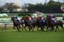 上司「よ～し今日は競馬観戦にいくぞェ！ｗｗ」陰キャワイ「あ…ああ……!!」