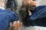 【再掲】 脚が冷えてきた。  猫に盗られる前に、湯タンポ挟んで寝よう。→