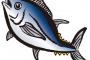 魚って絶対痛感あるよな・・・
