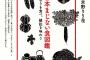 ヴィトンの財布を数種類持ってるのに持ち歩くのは100均のマジックテープ財布＆雑誌付録財布を3個持ち歩くアホ彼氏。しかもデートの度に「財布1つなくした！」と大騒ぎ…